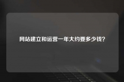 网站建立和运营一年大约要多少钱？