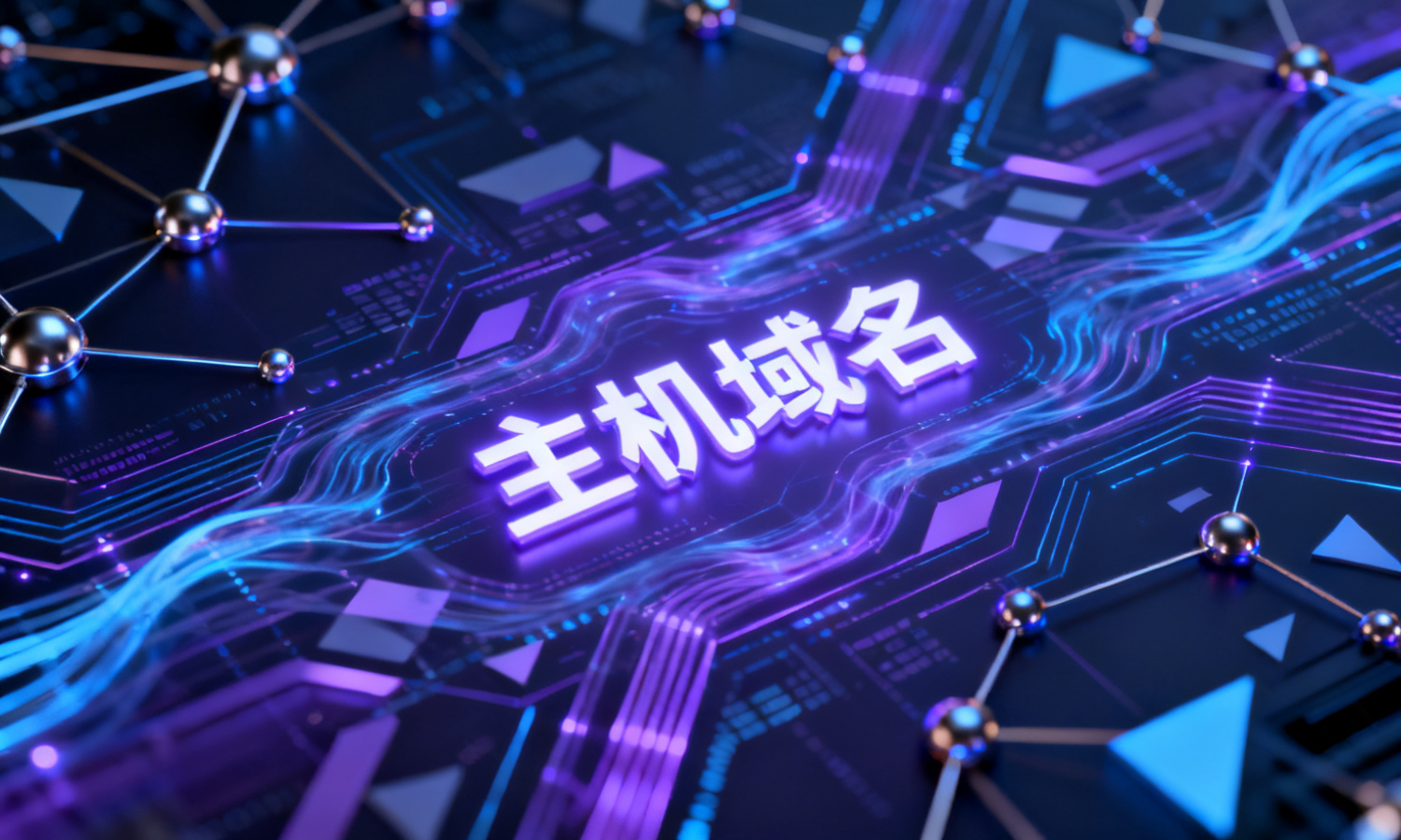 主机域名