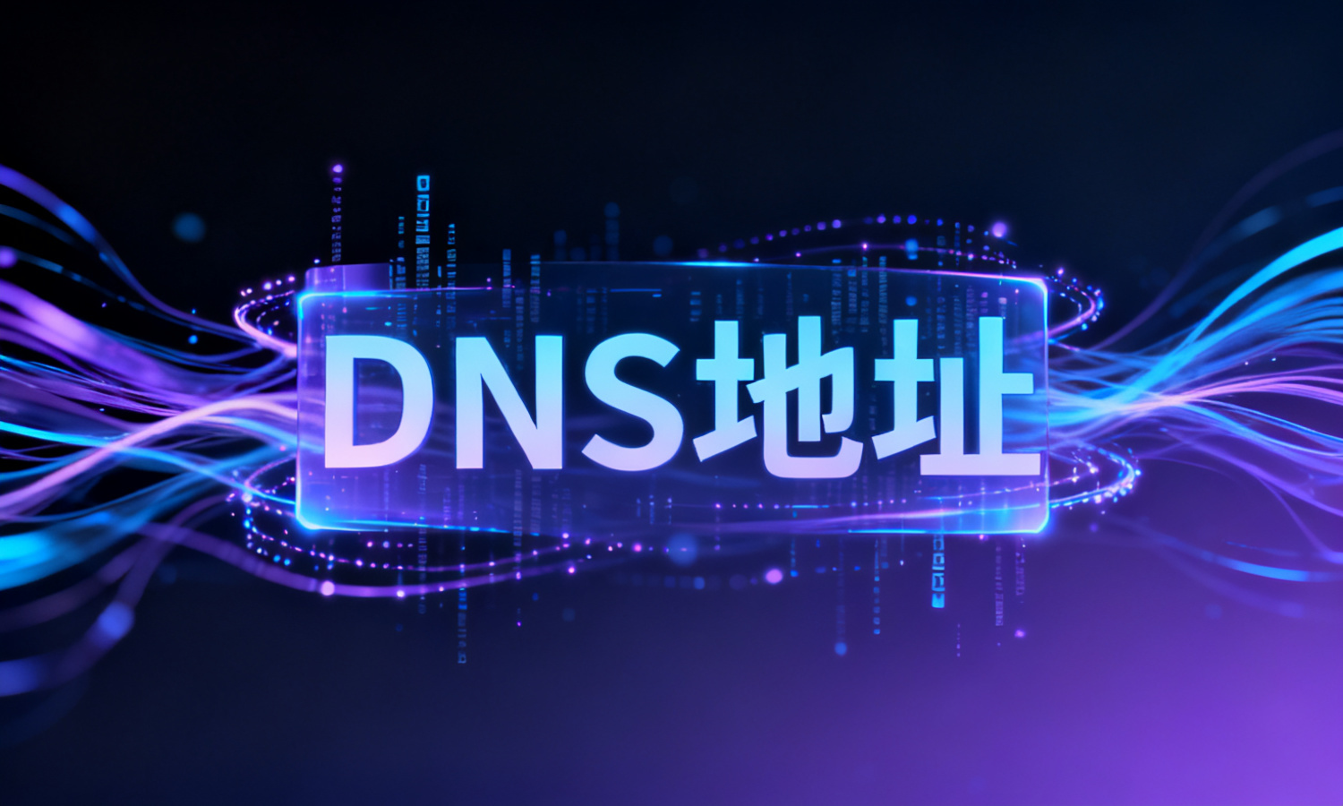 DNS地址